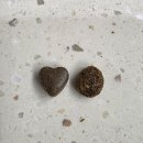 에코토이 | 강아지 귓병·외이염 고민 끝! 이탈리아 수의사가 만든 '포르자10 에코 미니앤토이' 급여 후기