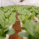 부자농장2 이미지