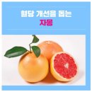 약이 되는 밥상 이야기 이미지