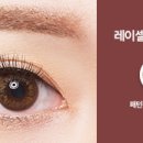 베이비밤비