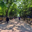 마두공원 화장실 이미지