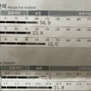 피노키오복싱 이미지