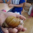 익산초등학교 이미지