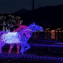 렛츠런파크[동] 네이버블로그