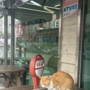 지티오 | 저됏어요중삼됏어요