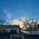 송당향기 이미지