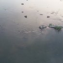 오수천2 이미지