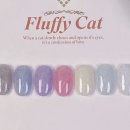 플러피캣(fluffy cat) 이미지