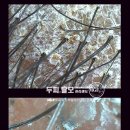 사직2동-26 이미지