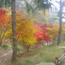 용봉사 입구 이미지