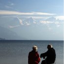 무심사보험의 `단점` 꼭 파악하고 가입하자 이미지