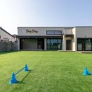 데이도그 이미지