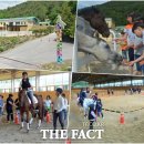 순창군승마장 이미지