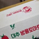 (파머버니랜드)대추방울토마토 구입 후기24. 8월