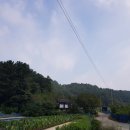 진주평거동고분군 이미지