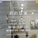리리댕댕 이미지