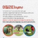 도그플러스동물병원 이미지