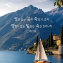 * 산 믿음, 죽은 믿음 - 조태성 이미지