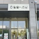 왈왈시즈닝 이미지