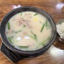 24시부산왕돼지국밥 | [부산] 해운대 24시 국밥맛집 부산왕돼지국밥