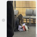 도은세일 이미지