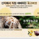 삼비산농장 이미지