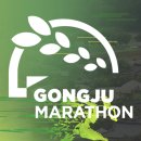 정관장공주
