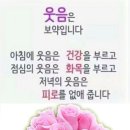 비담채