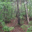 김삿갓면-6 이미지