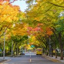 목동동로6길 이미지