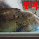 시장길 이미지