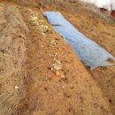 해마루농원 이미지