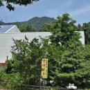 유성대로 1366번길 | 대전 한식 청국장 현지인 맛집 ㅣ양사싯골ㅣ 내 돈 내산 솔직 후기 (25.06.15)