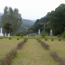 수원-0100 Daum카페