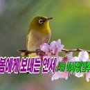 봄에게 보내는 연서 / 詩 이서정(연주) 이미지