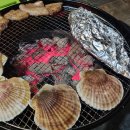 스테이 그리다 이미지