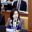 폰파는청년 이미지