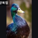 해창양복점 이미지
