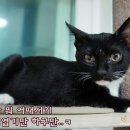 까망이PC 이미지