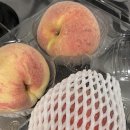 통통한과일 - 부산진구 새싹로 209 | 여름 제철 과일 복숭아 구매후기! 실패 없는 맛있는복숭아구매하는방법 및 딱복 물복 매력 비교