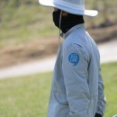 올데이스포츠 | 충청도 양잔디 골프장 올데이cc 후기 그린피가 합리적