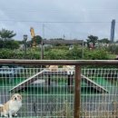 방잠하우스 | [강원:강릉] 강릉역 근처 숙소 추천 &#34;노마드인강릉 게스트하우스&#34; 내돈내잠 후기