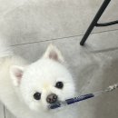 짱구횟집