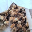 원스농장 이미지