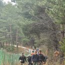 병오년(丙午年) / 바우길 안녕(安寧)과 건강한 걷기를 기원하는 시도제(始道祭) 이미지