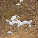 생각이 바뀌면 삶이 바뀐다 | 이미지