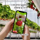 (주)서진팜 이미지