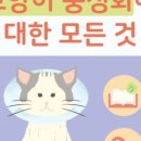 우리집동물병원 이미지