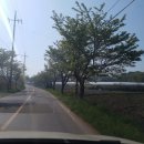읍성회관민박 네이버블로그