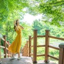 부인사 Daum카페